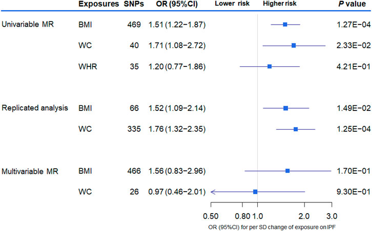 Frontiers | Management of BMI Is a Potential New Approach