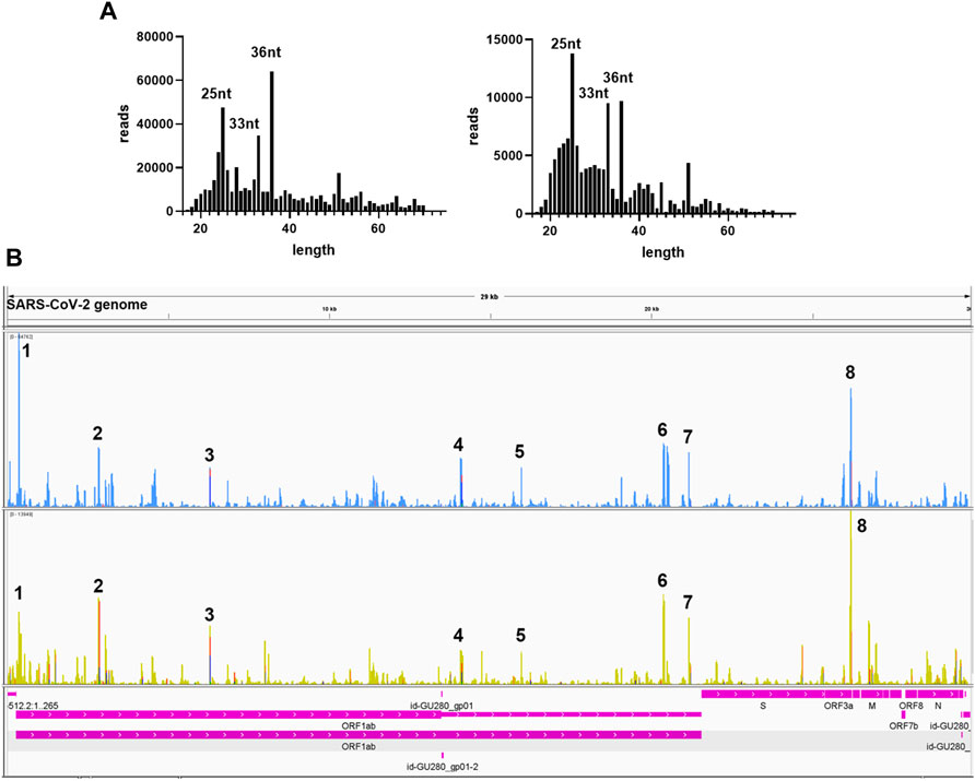 Frontiers | Changes of Small Non-coding RNAs by Severe Acute