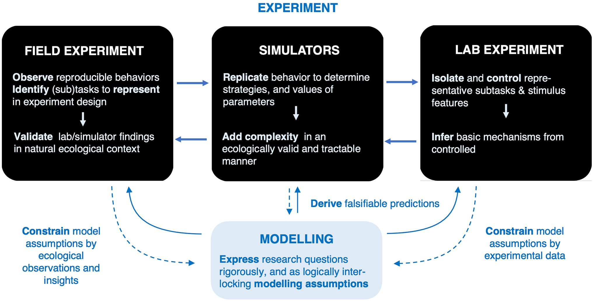 Driving Simulators for Clinical & Research Settings