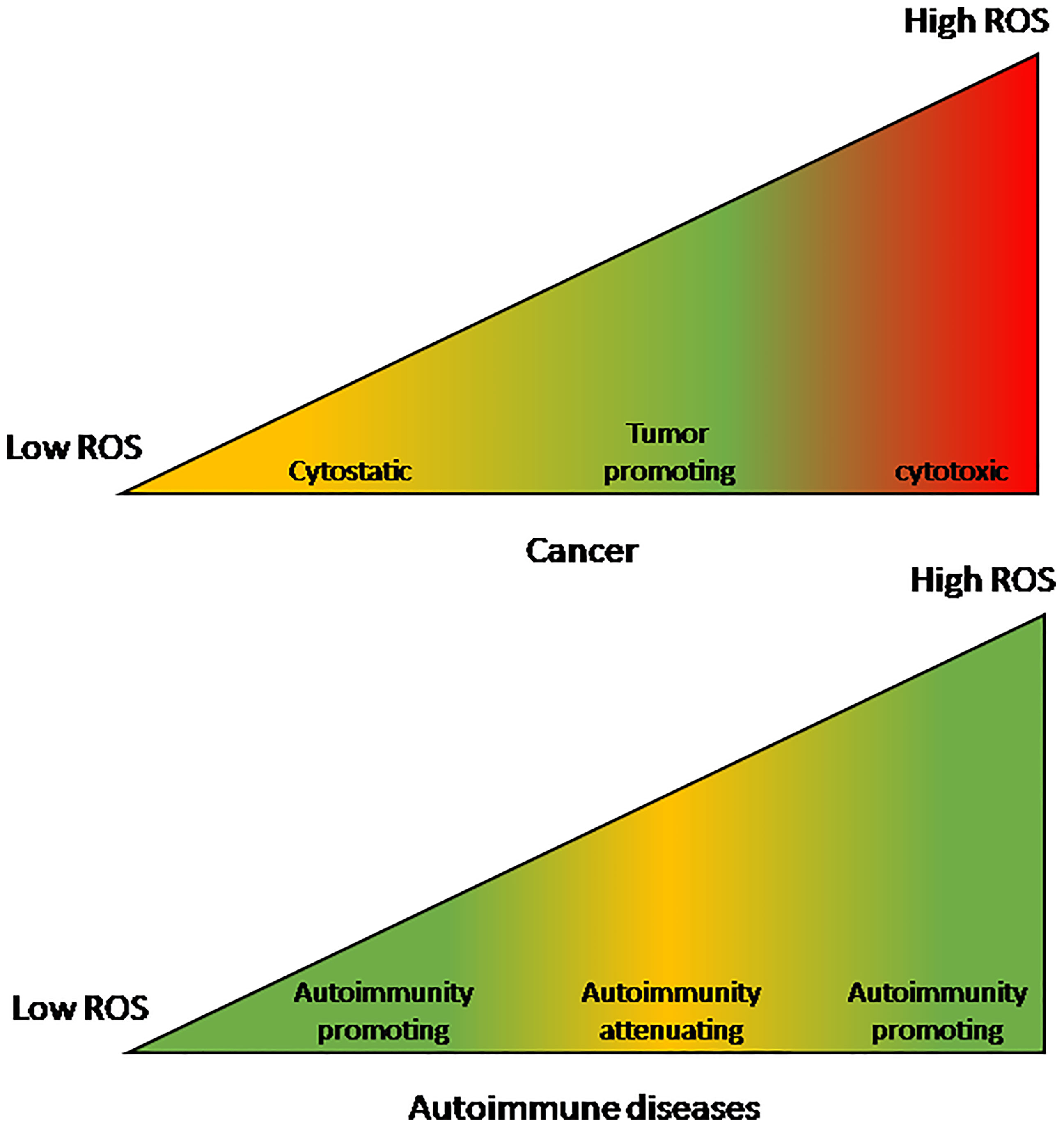 Autoimmune disease