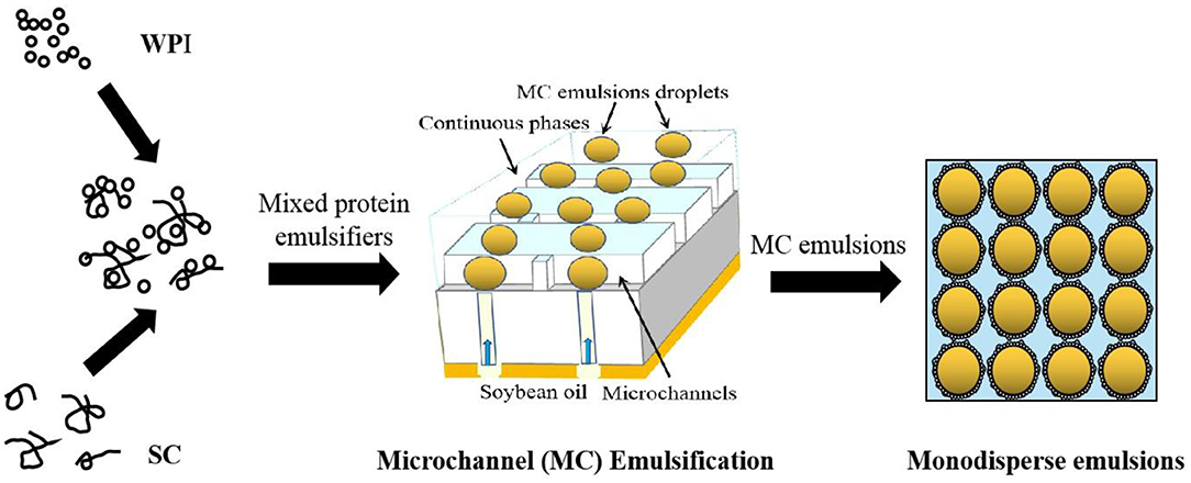 Frontiers  Enhancing the Formation and Stability of Oil-In-Water Emulsions  Prepared by Microchannels Using Mixed Protein Emulsifiers