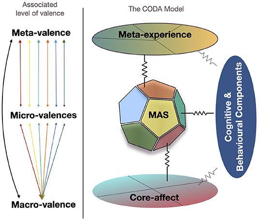 Frontiers | The CODA Model: A Review and Skeptical Extension of the  Constructionist Model of Emotional Episodes Induced by Music