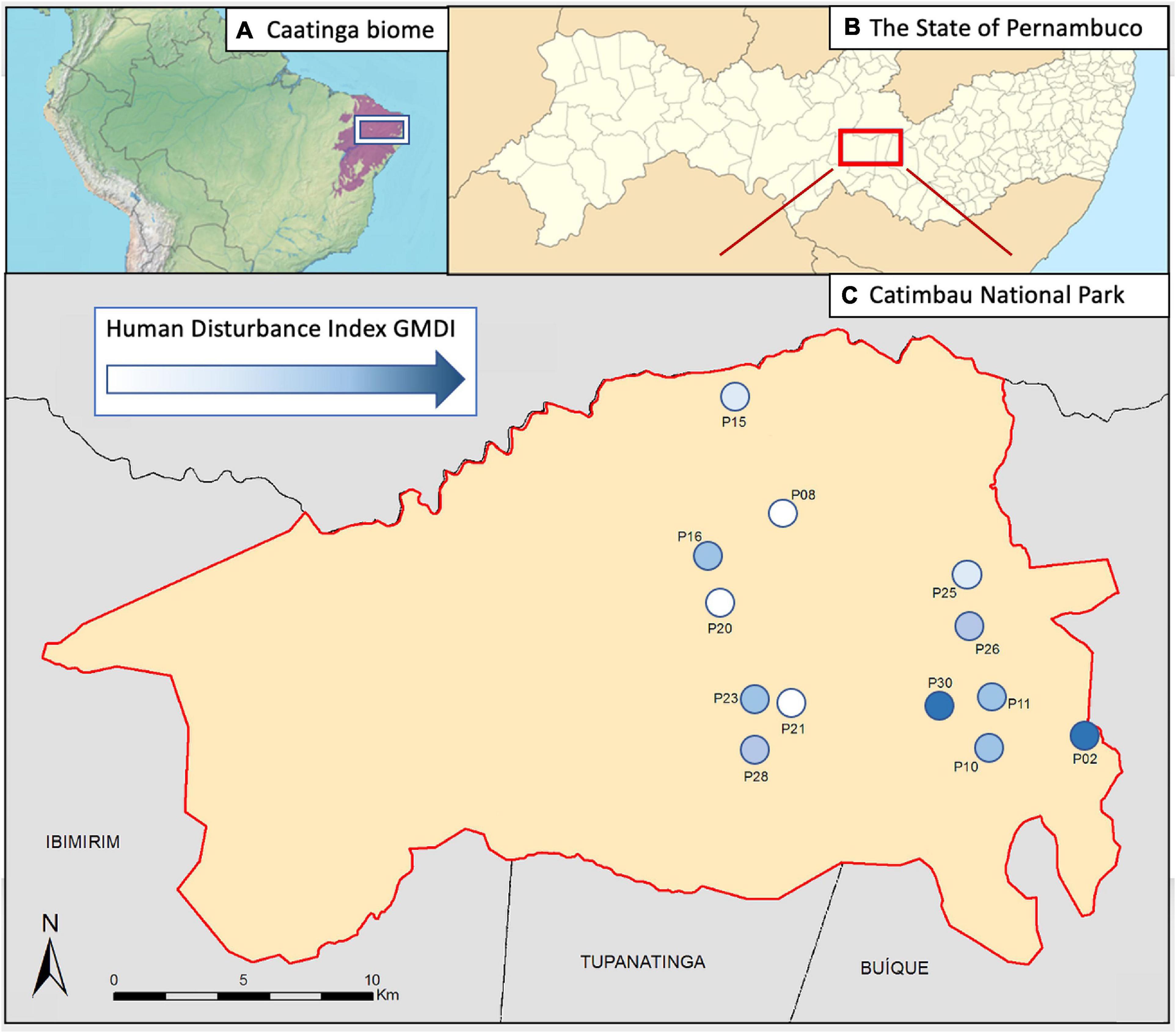 www.frontiersin.org