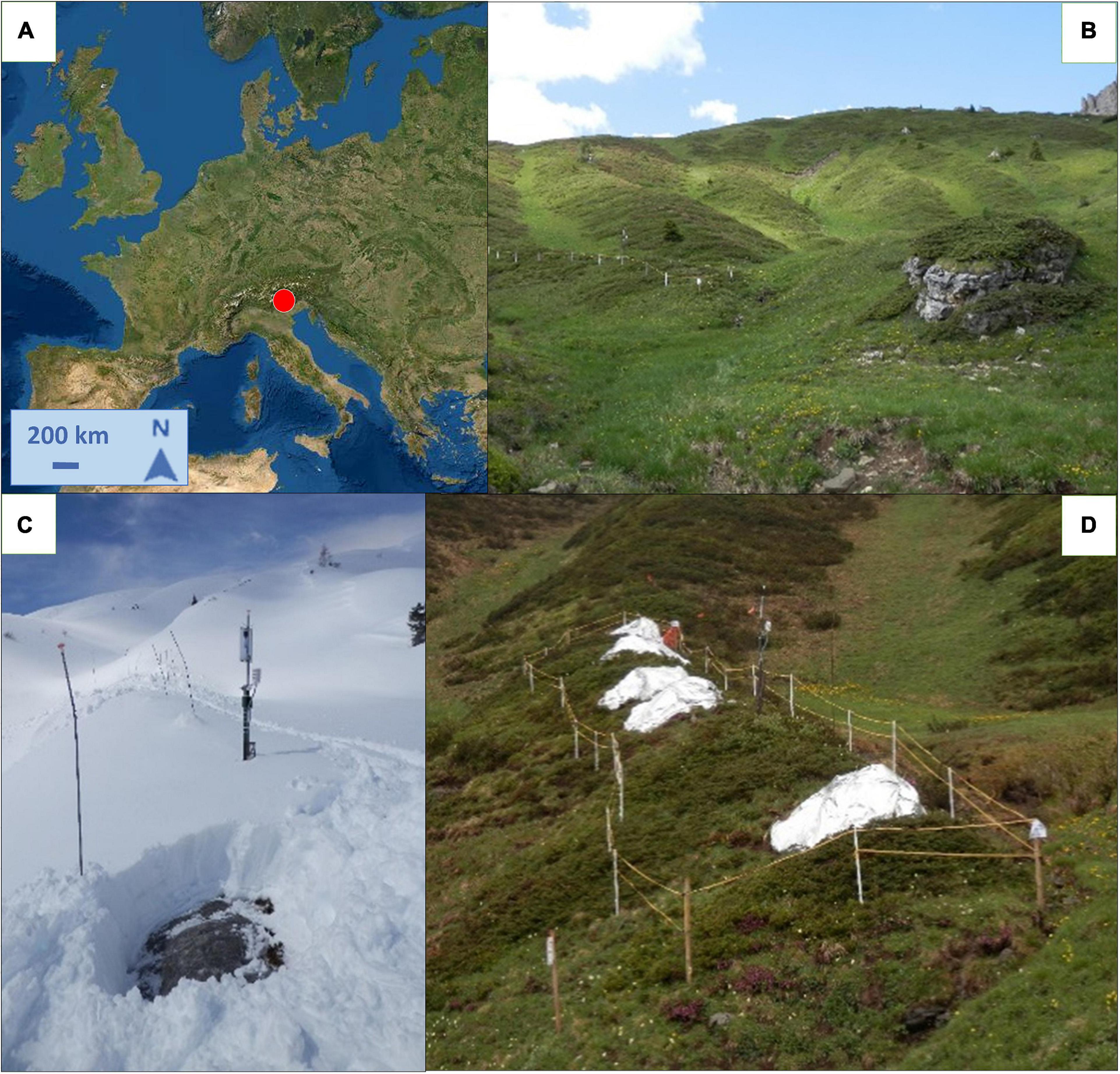 Frontiers  Transient Effects of Snow Cover Duration on Primary