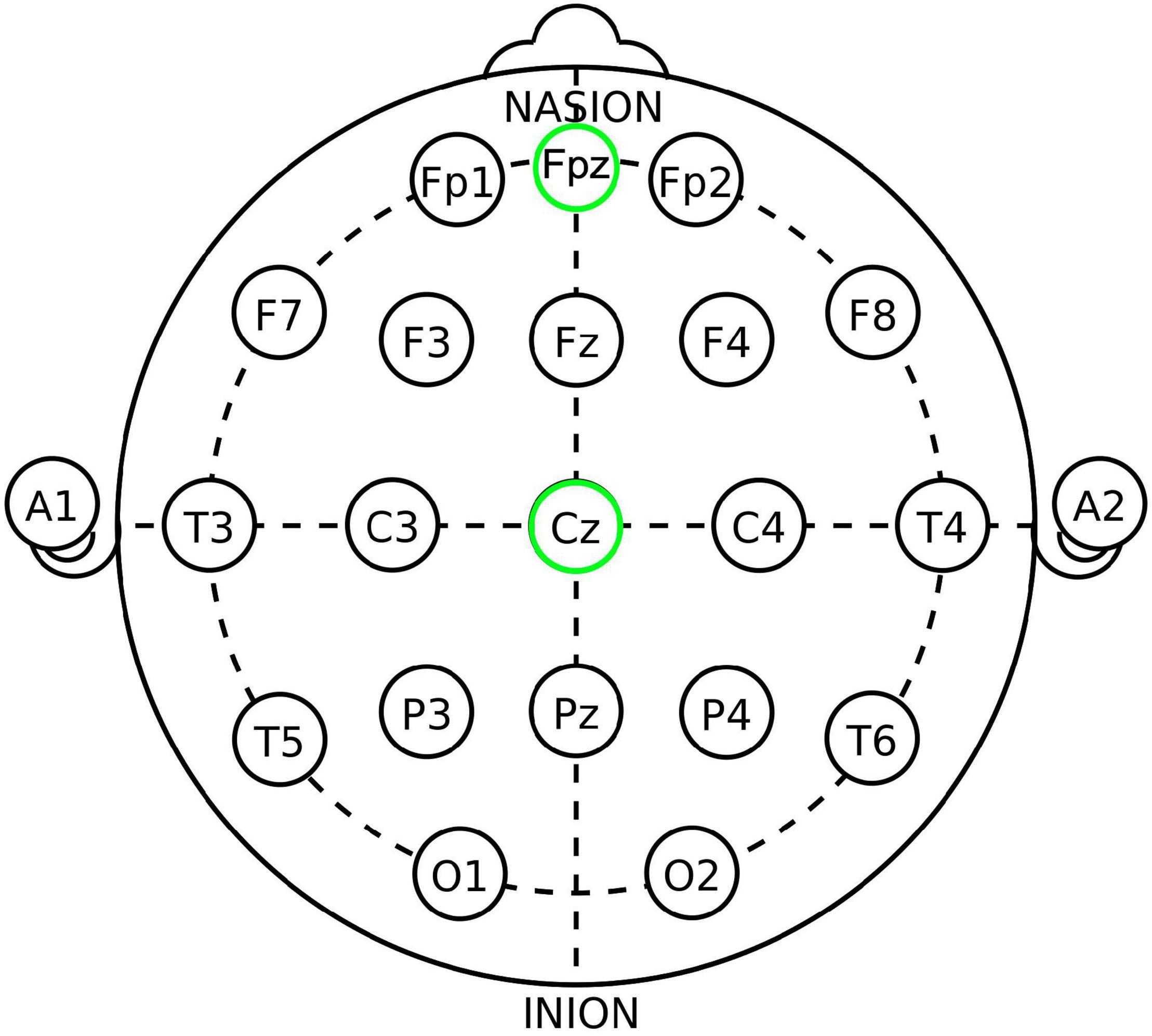 www.frontiersin.org