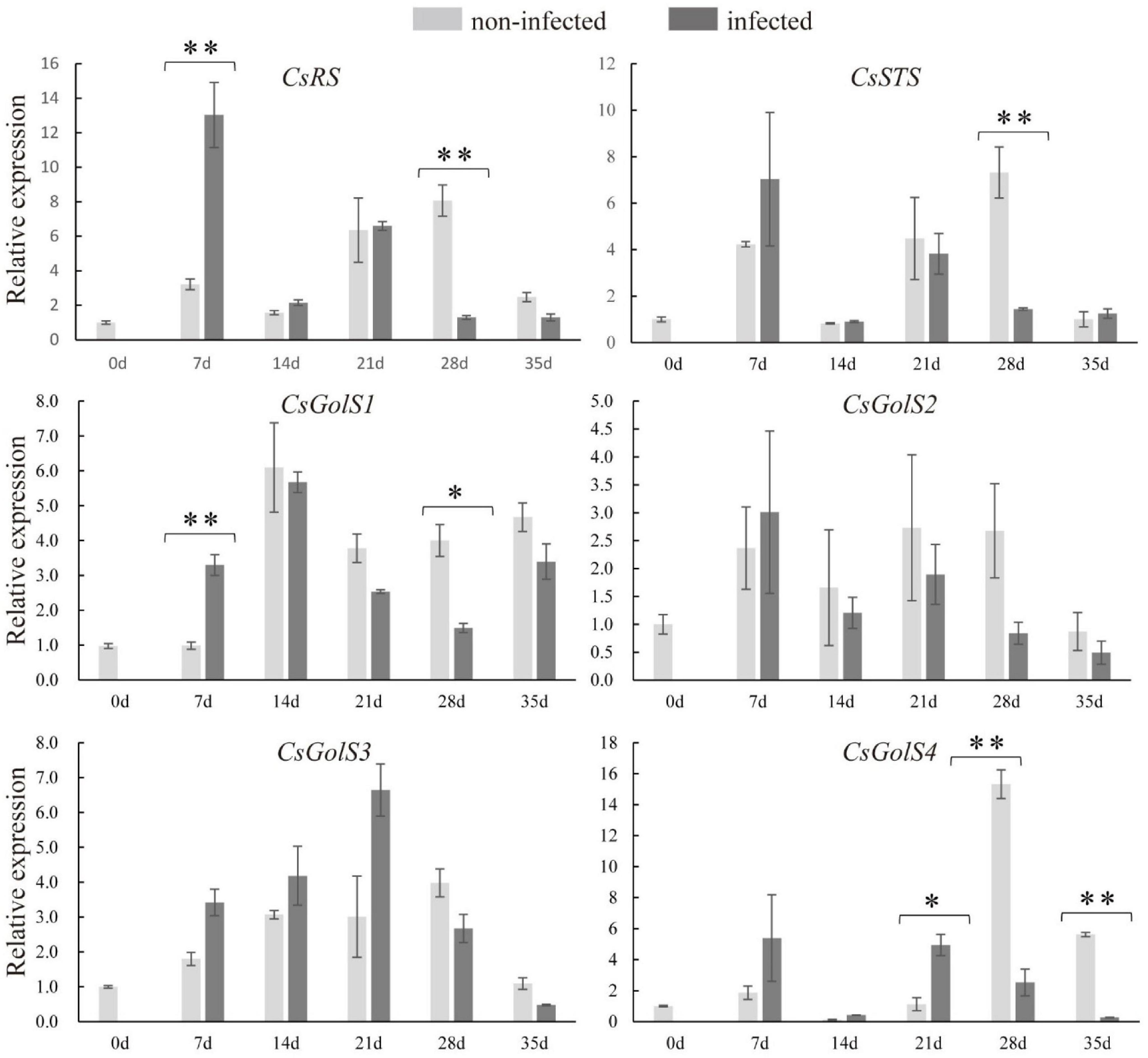 Frontiers  Belowground Chemical Interactions: An Insight Into  Host-Specific Behavior of Globodera spp. Hatched in Root Exudates From  Potato and Its Wild Relative, Solanum sisymbriifolium