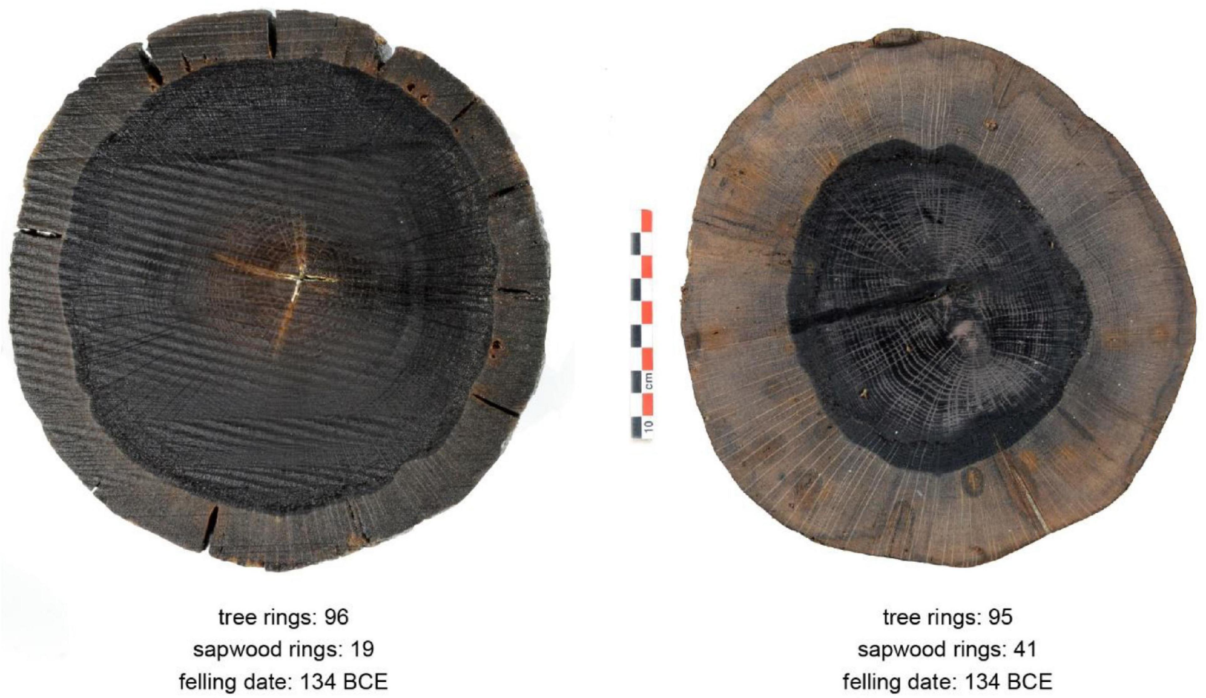 PDF) The interpretation of archaeological tree-ring dates