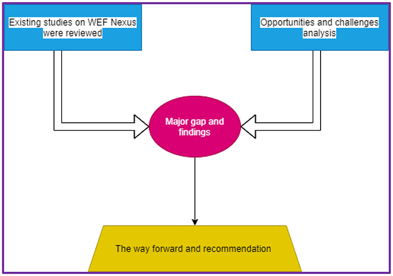 Summary of the Literature on the Nexus Relationships