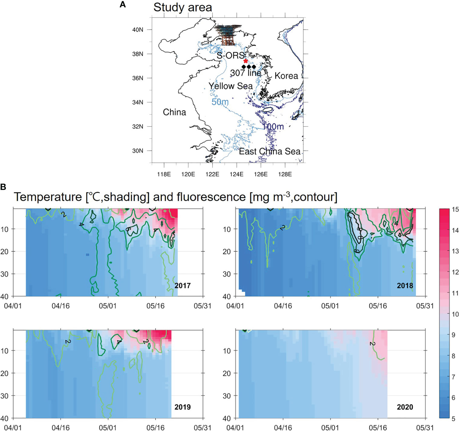 Contrasting surface warming of a marginal basin due to large-scale climatic patterns and local forcing
