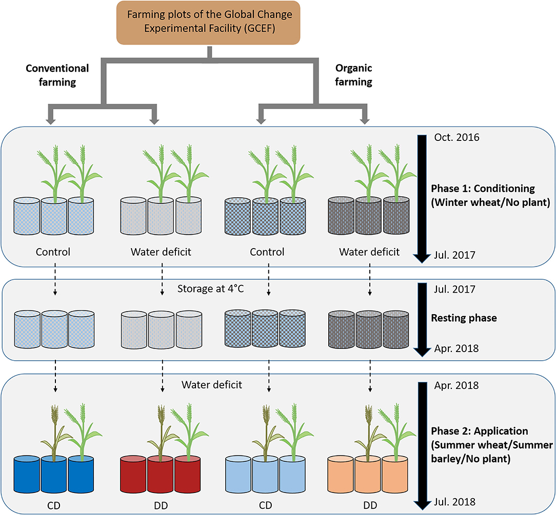 PDF) World data centre for microorganisms: An information infrastructure to  explore and utilize preserved microbial strains worldwide