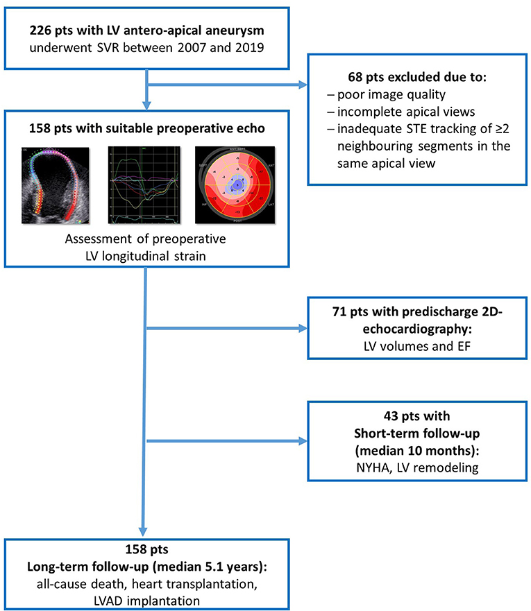 Global Longitudinal Strain Predicts Long-Term Survival in Patients