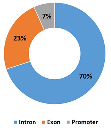 www.frontiersin.org