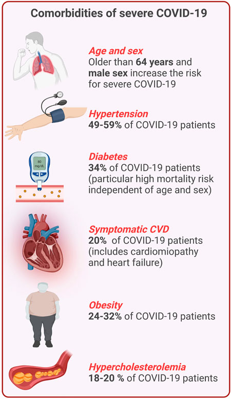 Frontiers  COVID-19 and the Vasculature: Current Aspects and Long-Term  Consequences