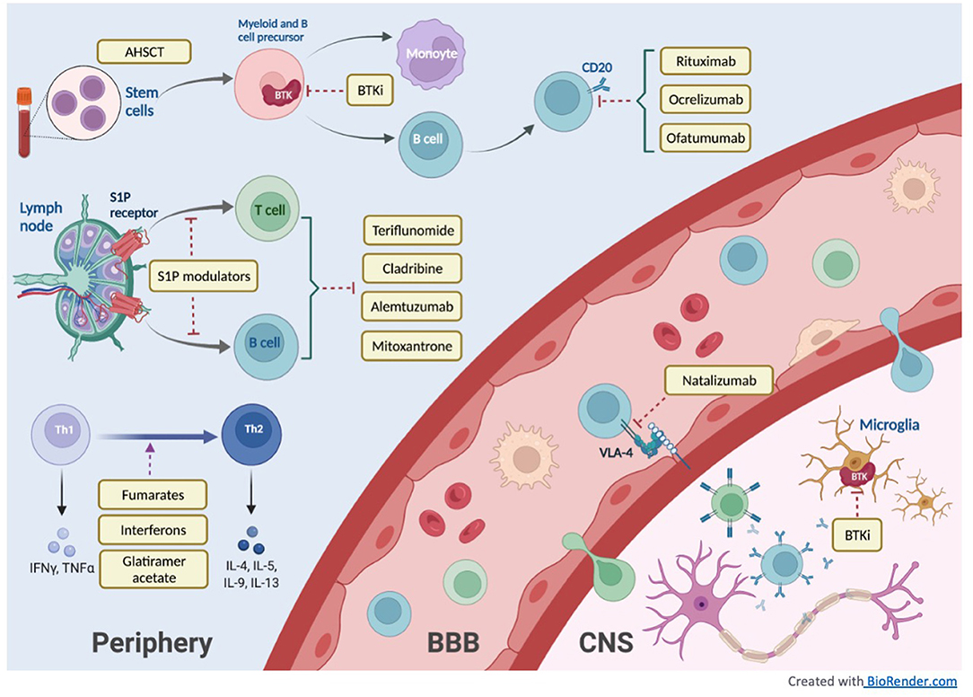 Frontiers  Therapeutic Advances in Multiple Sclerosis