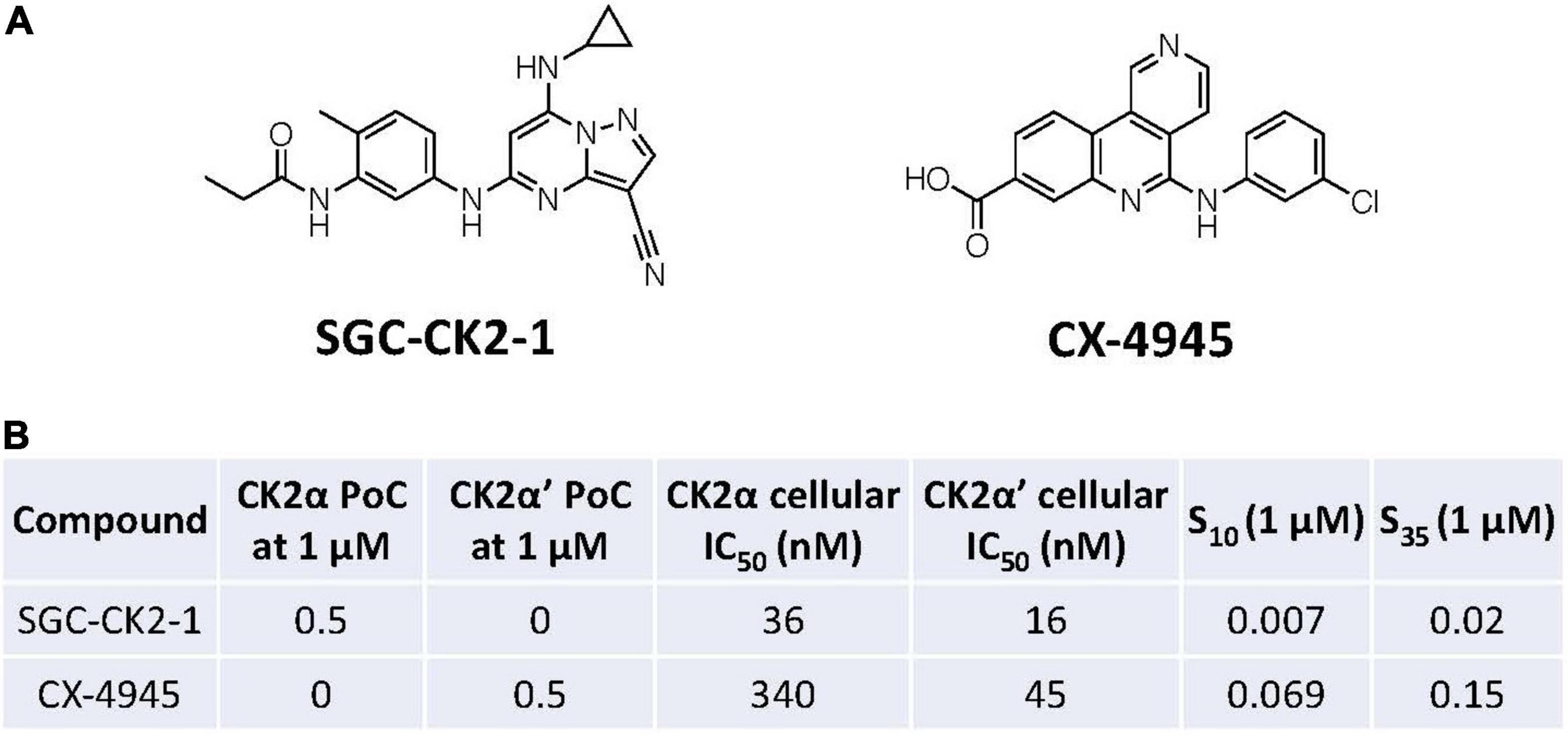 Frontiers Evaluation of a Selective Chemical Probe Validates That CK2