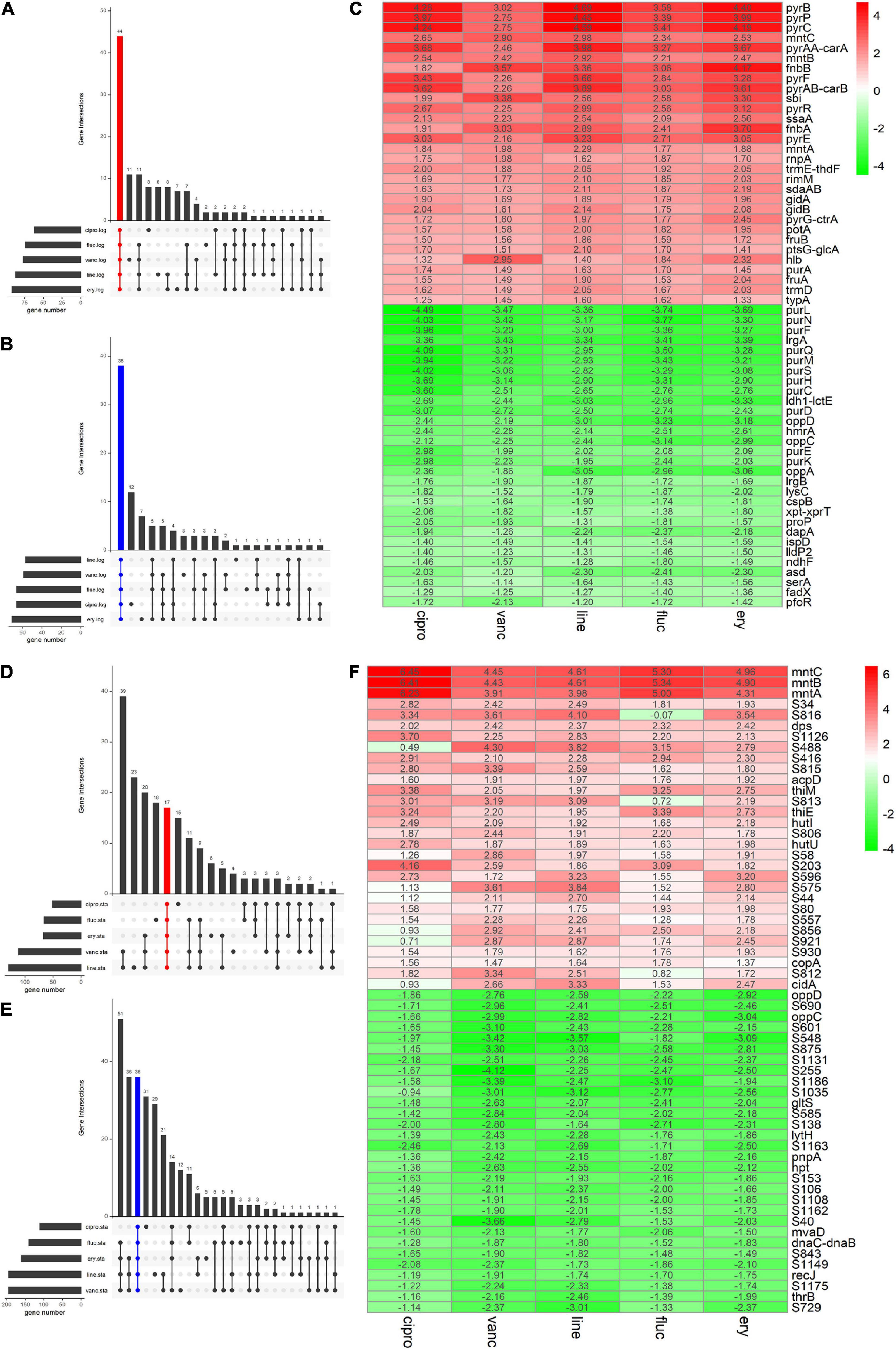 Stress-induced inactivation of the Staphylococcus aureus purine  biosynthesis repressor leads to hypervirulence