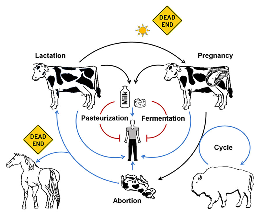 Frontiers | Retrospective and prospective perspectives on zoonotic ...