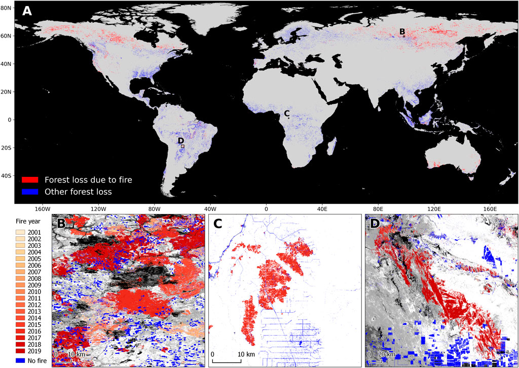 Desagregação florestal global de 2001–2019