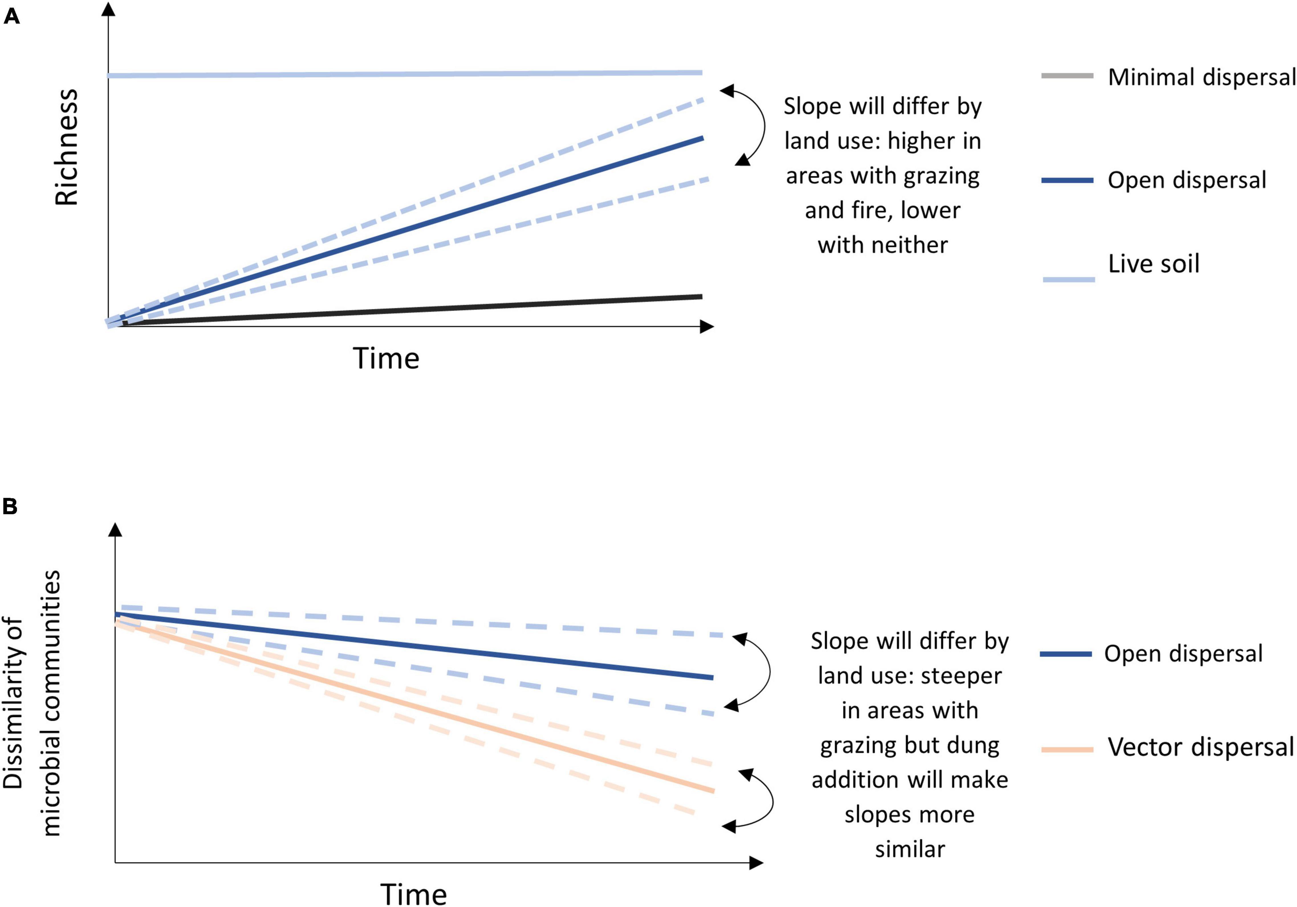 21. What do steeper slopes mean in species richness v/s area graph ?