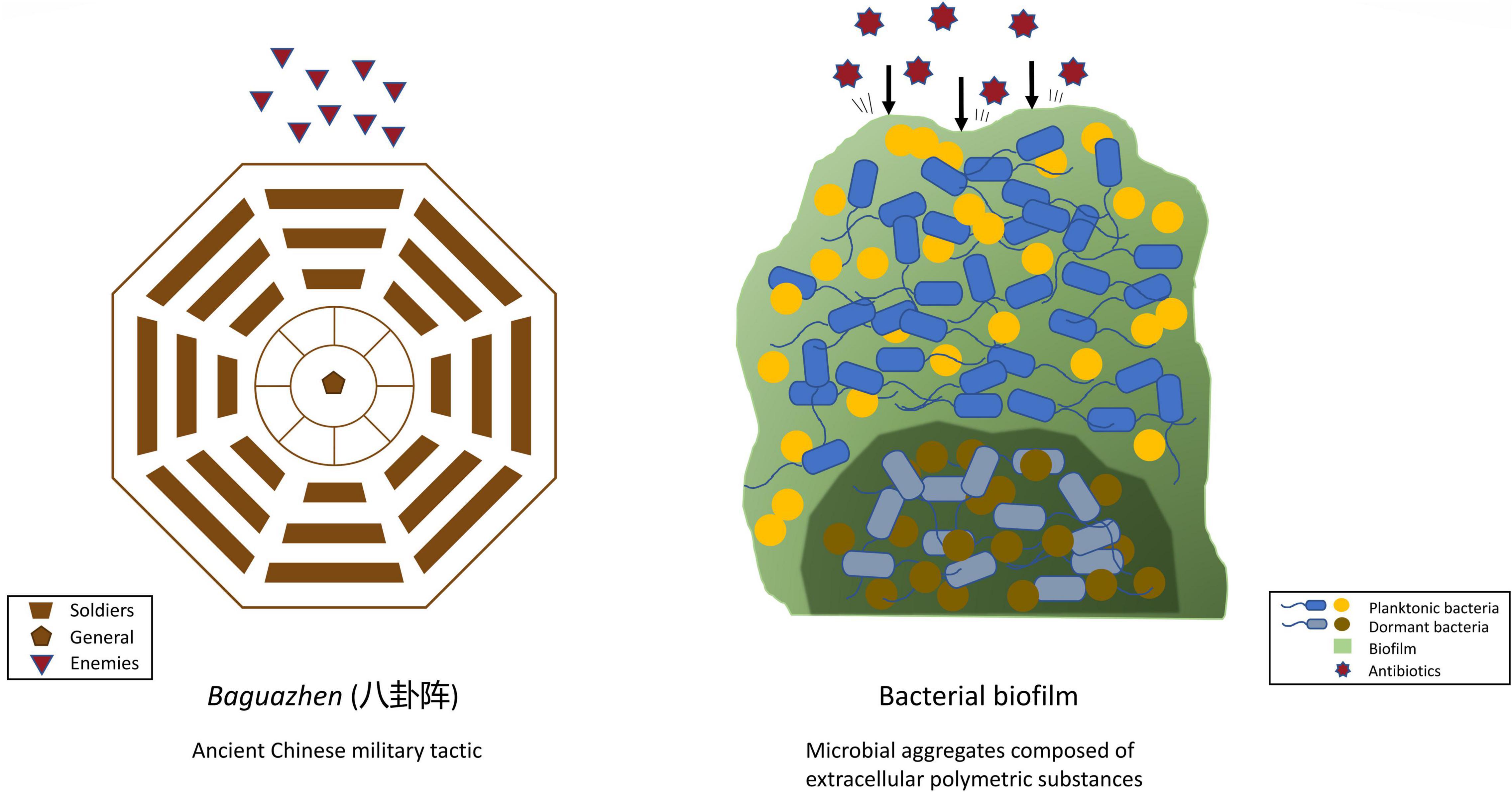 Evolving biofilm inhibition and eradication in clinical settings