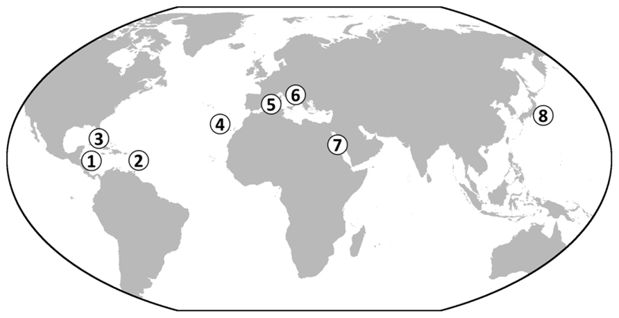 www.frontiersin.org
