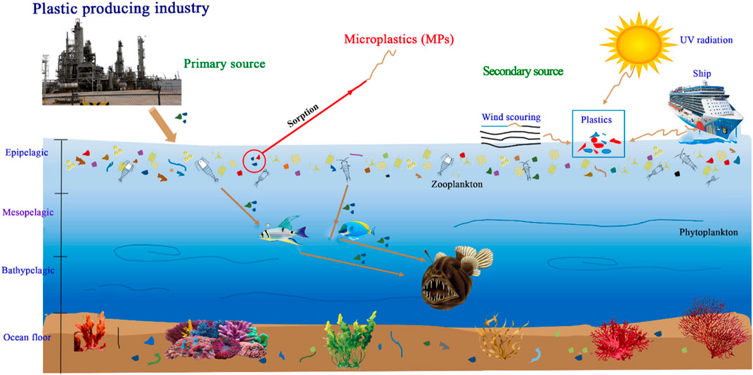 MICRO2020, Fate and Impacts of Microplastics: Knowledge and