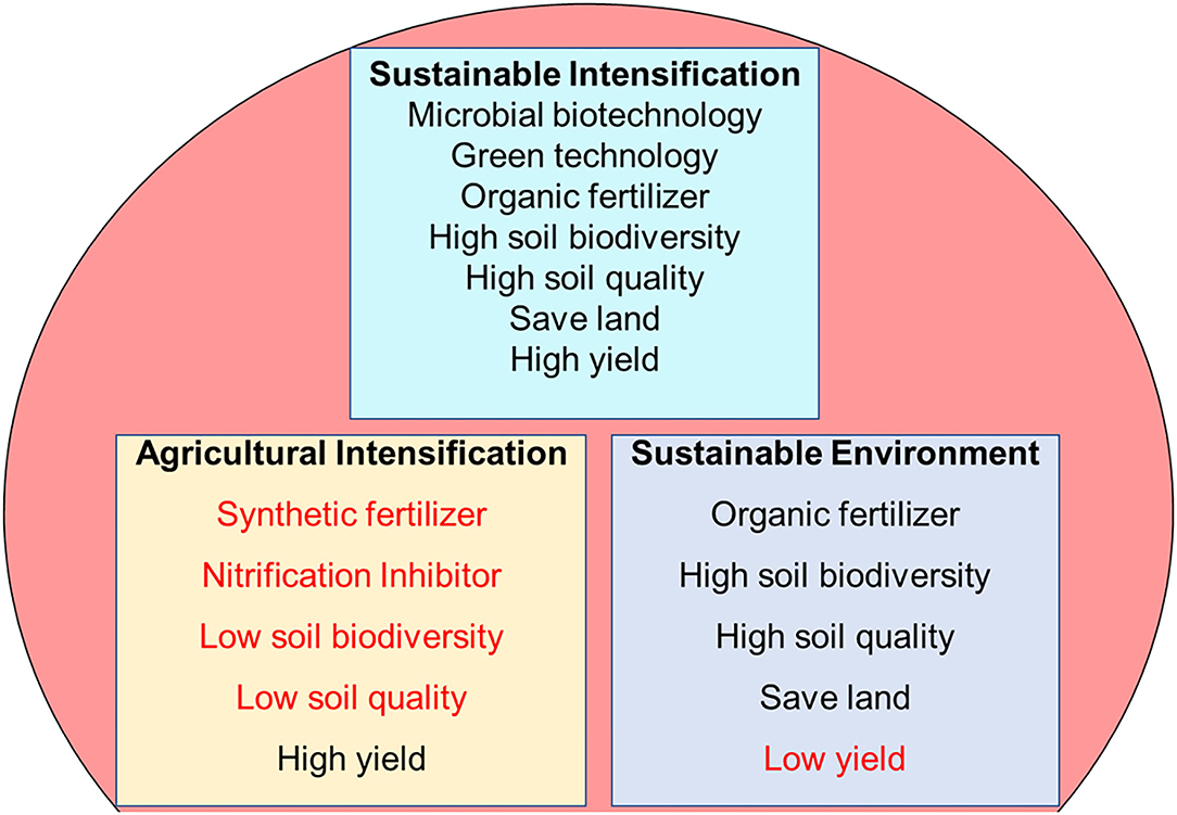 Frontiers | Sustainable Intensification of Maize in the Industrial  Revolution: Potential of Nitrifying Bacteria and Archaea