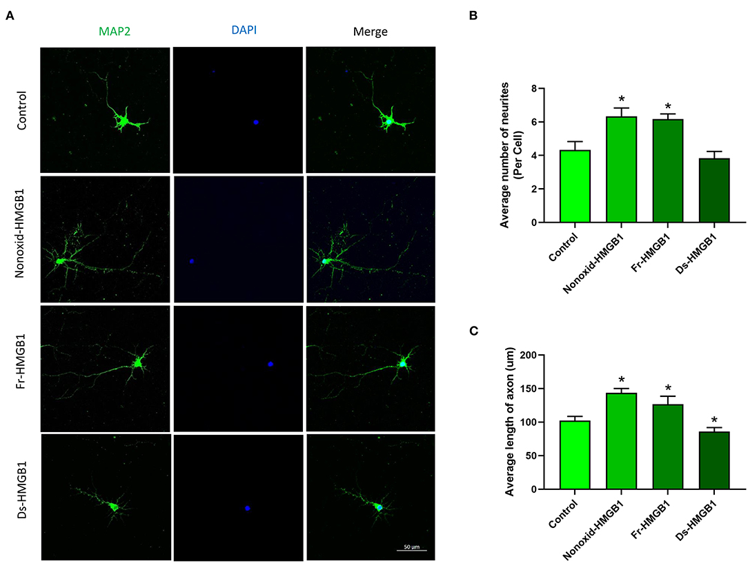 Long-term Multidomain Patterns of Change After Traumatic Brain Injury