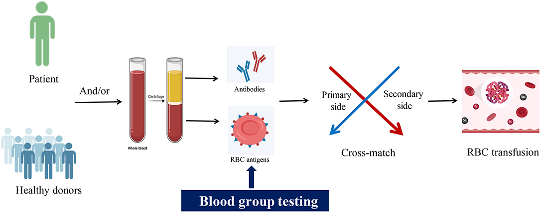 ABO Easy using Home blood type test Group know your Type Testing