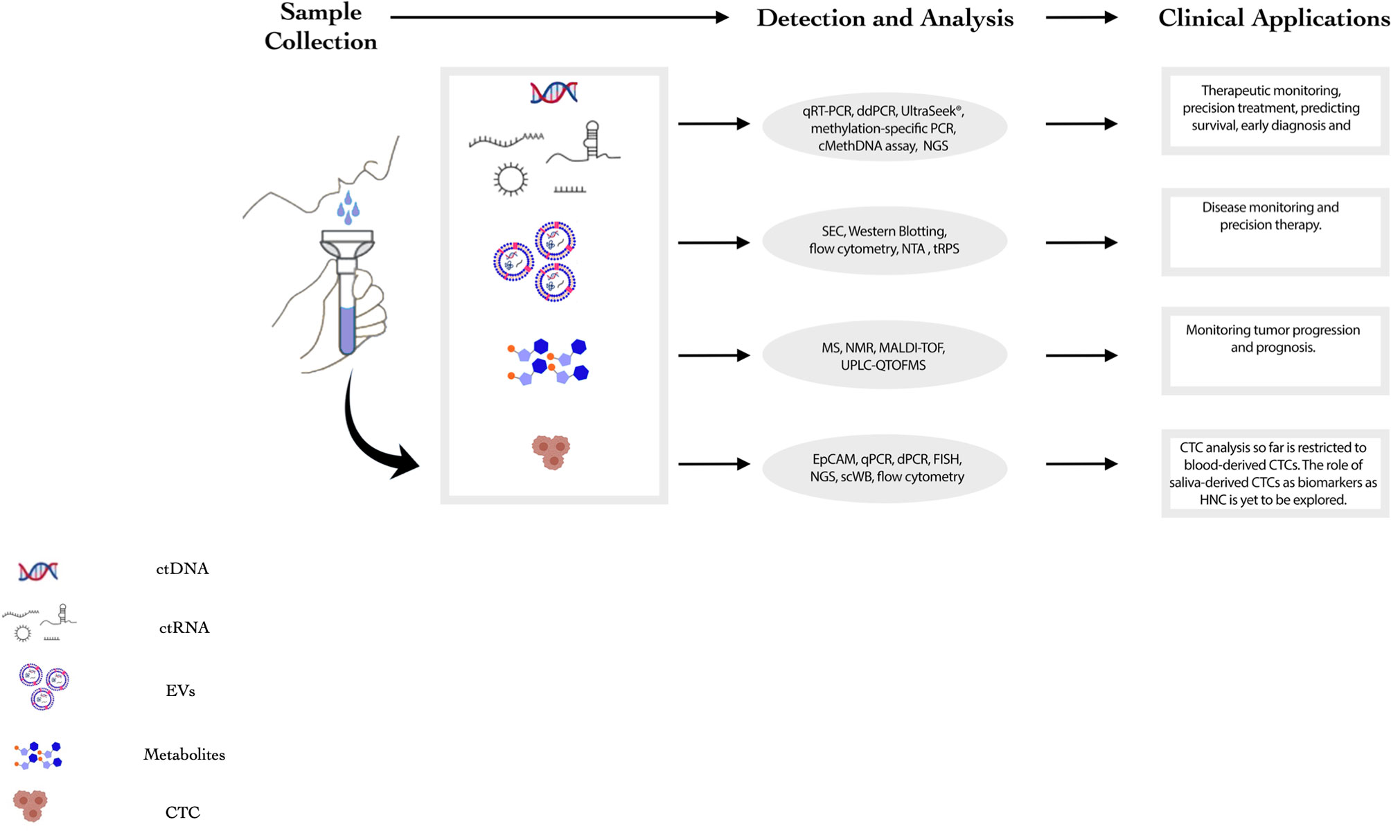 Frontiers  Development of an AmpliSeqTM Panel for Next-Generation  Sequencing of a Set of Genetic Predictors of Persisting Pain