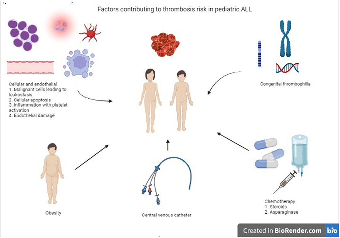 Passing blood clots (warning: PHOTO inside) - January 2021 Babies, Forums