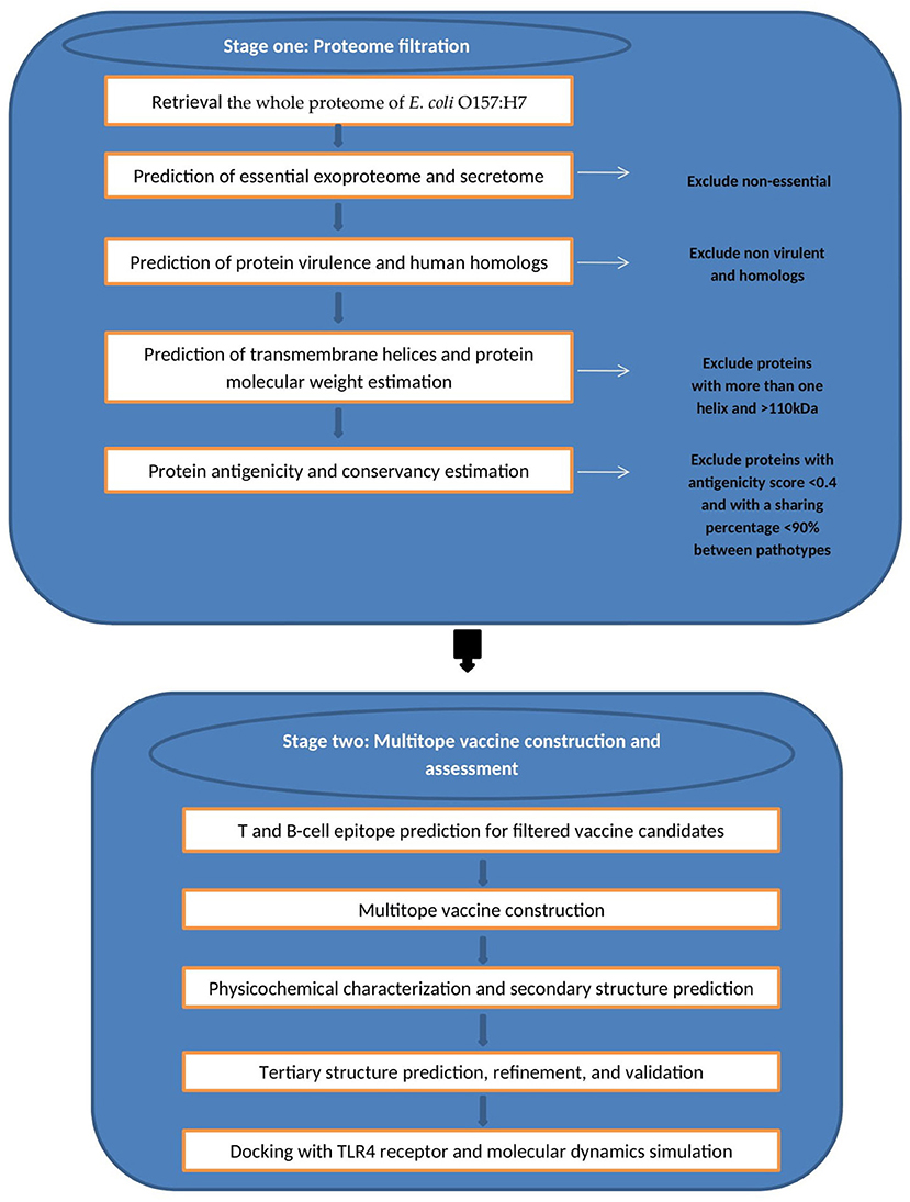 How To Use Single Fold Bias Tape Best 8 Methods (2023), by Obaidullah