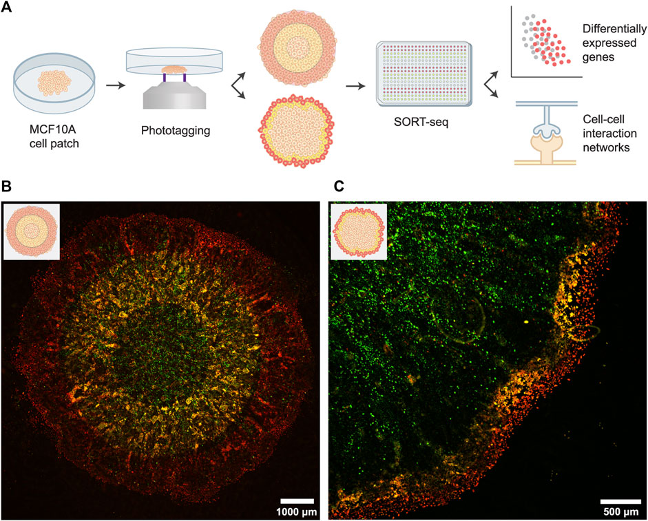 Detection results of interaction factor of spatial heterogeneity