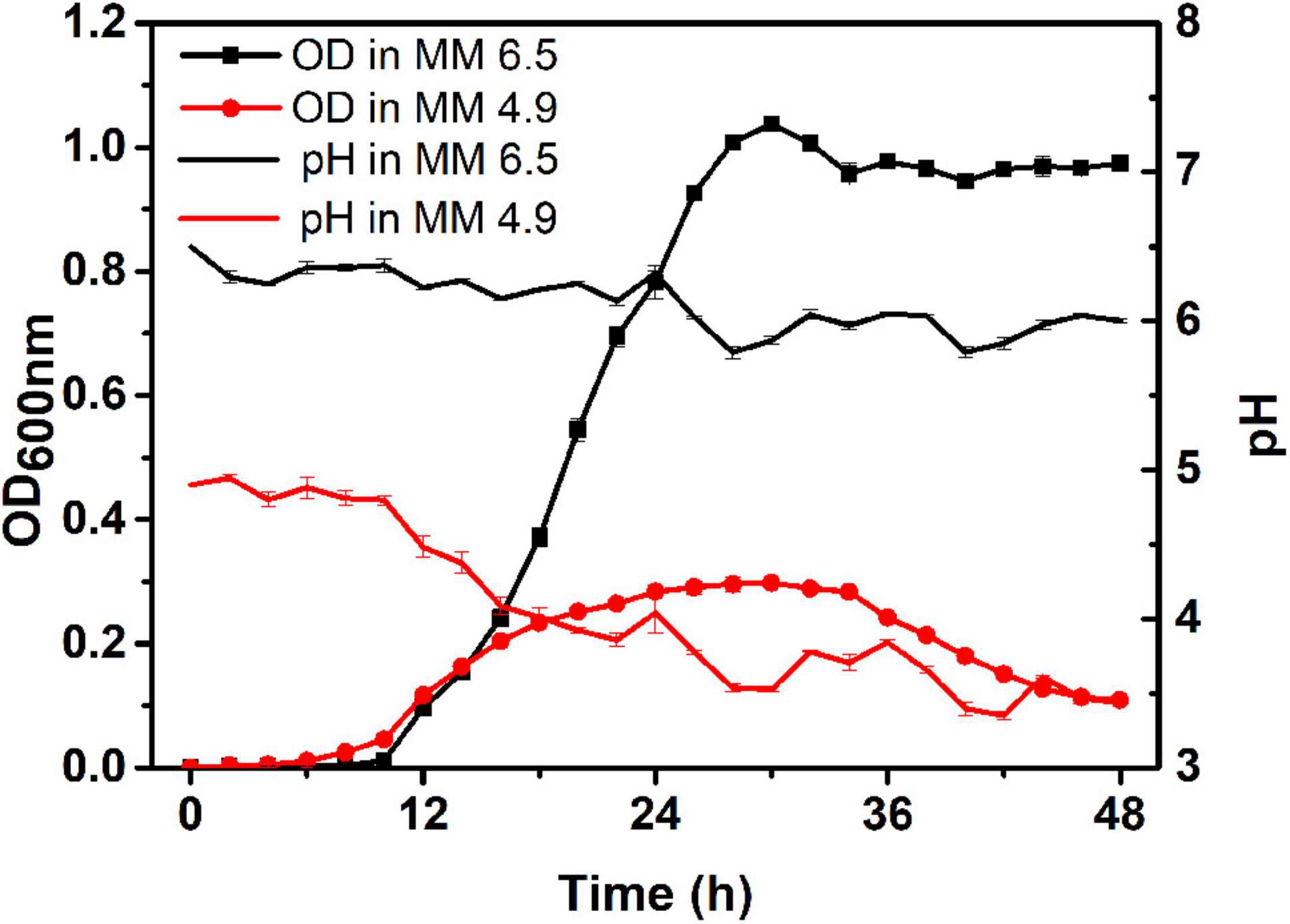Frontiers Mutation in phcA Enhanced the Adaptation of Ralstonia