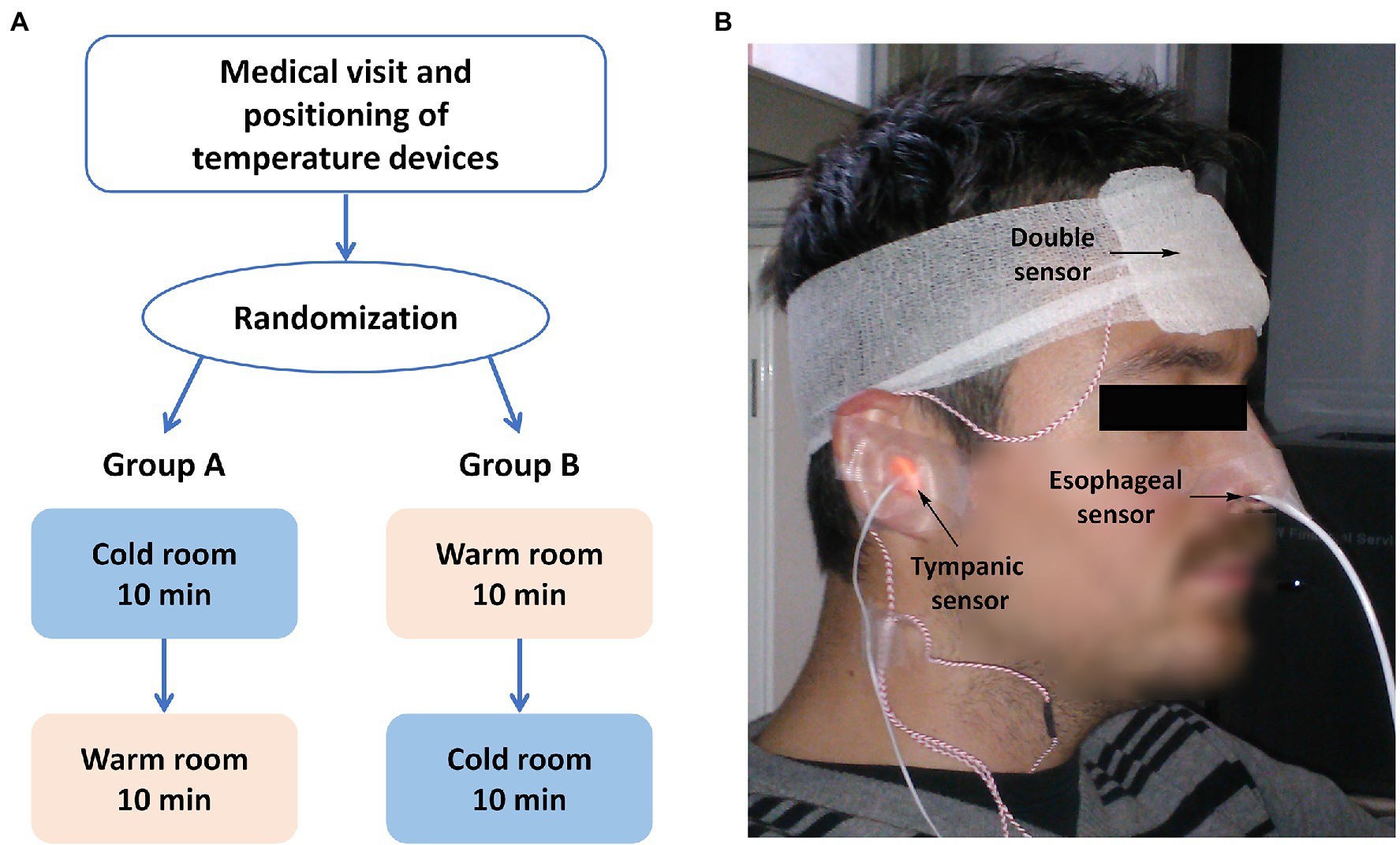 Nasal Temperature Probes