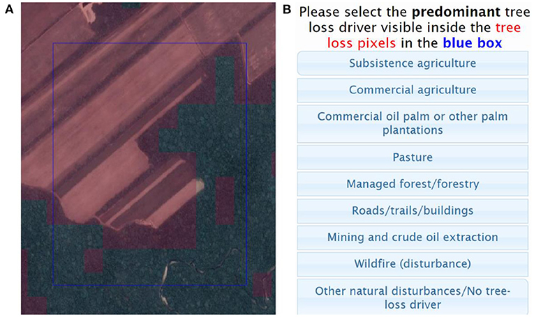 The drivers of deforestation