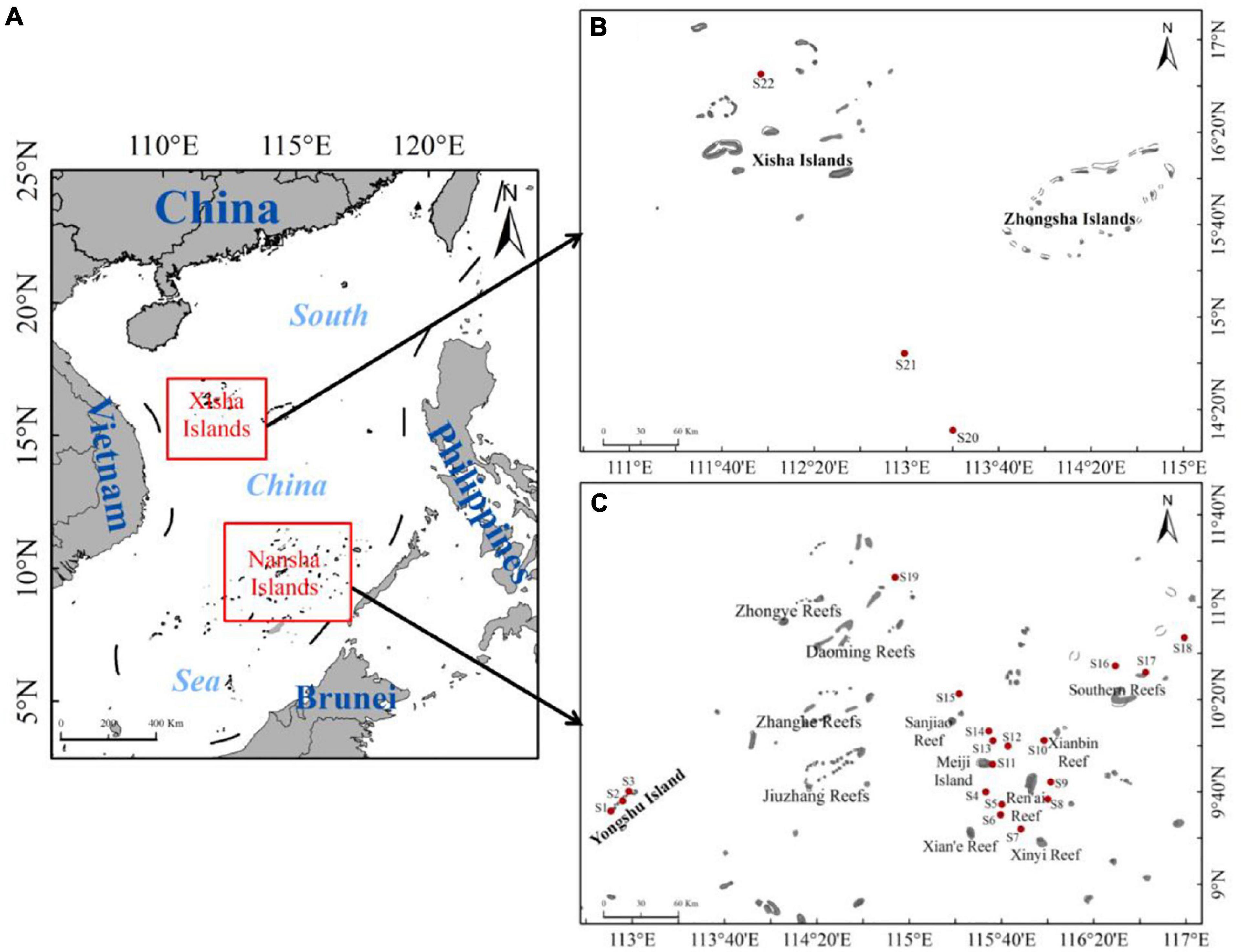 Frontiers  Spatial Distribution and Composition of Surface Microplastics  in the Southwestern South China Sea