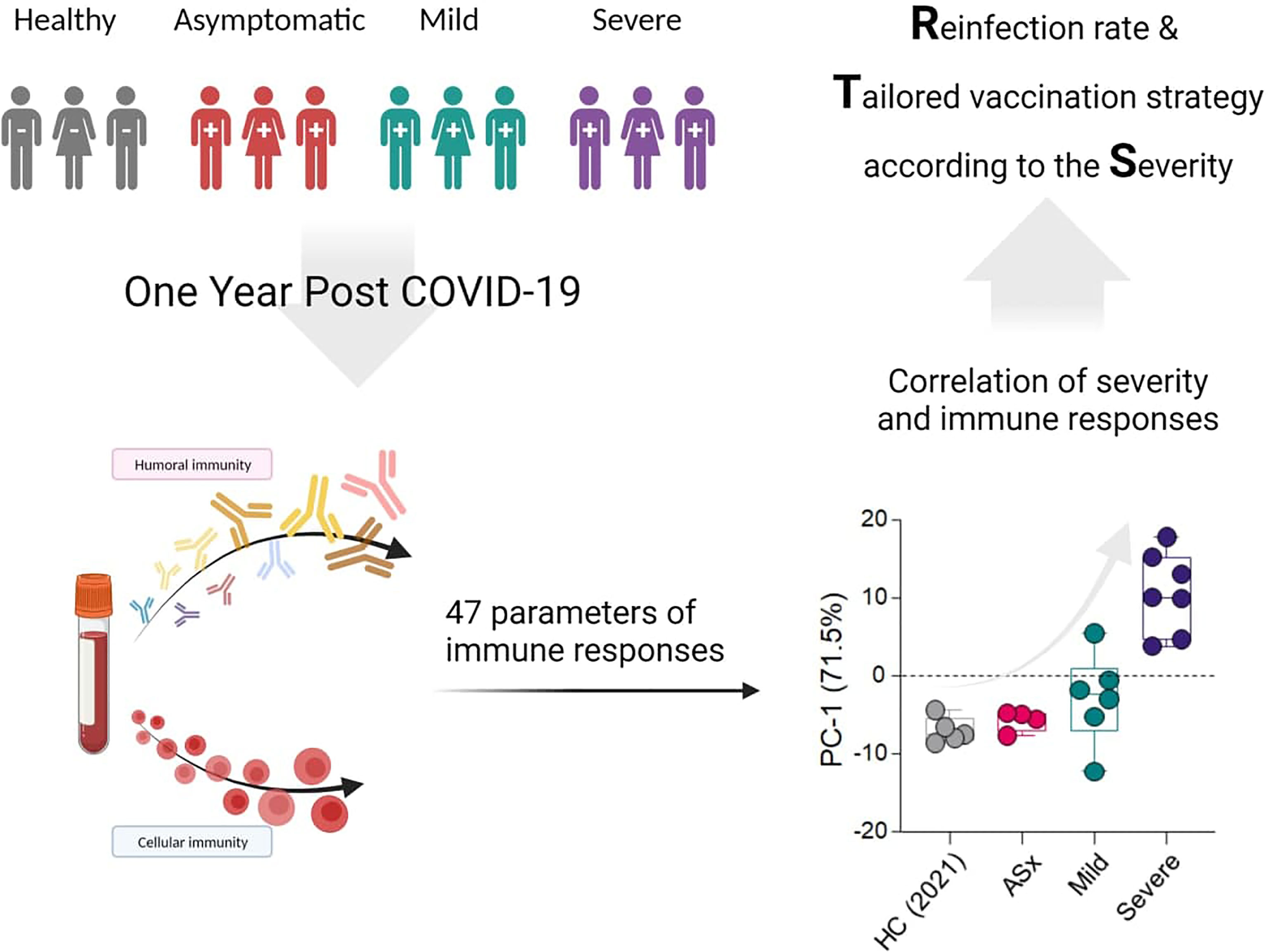 Researchers discover differing immune response leads to worse COVID  outcomes for men- Princeton Engineering