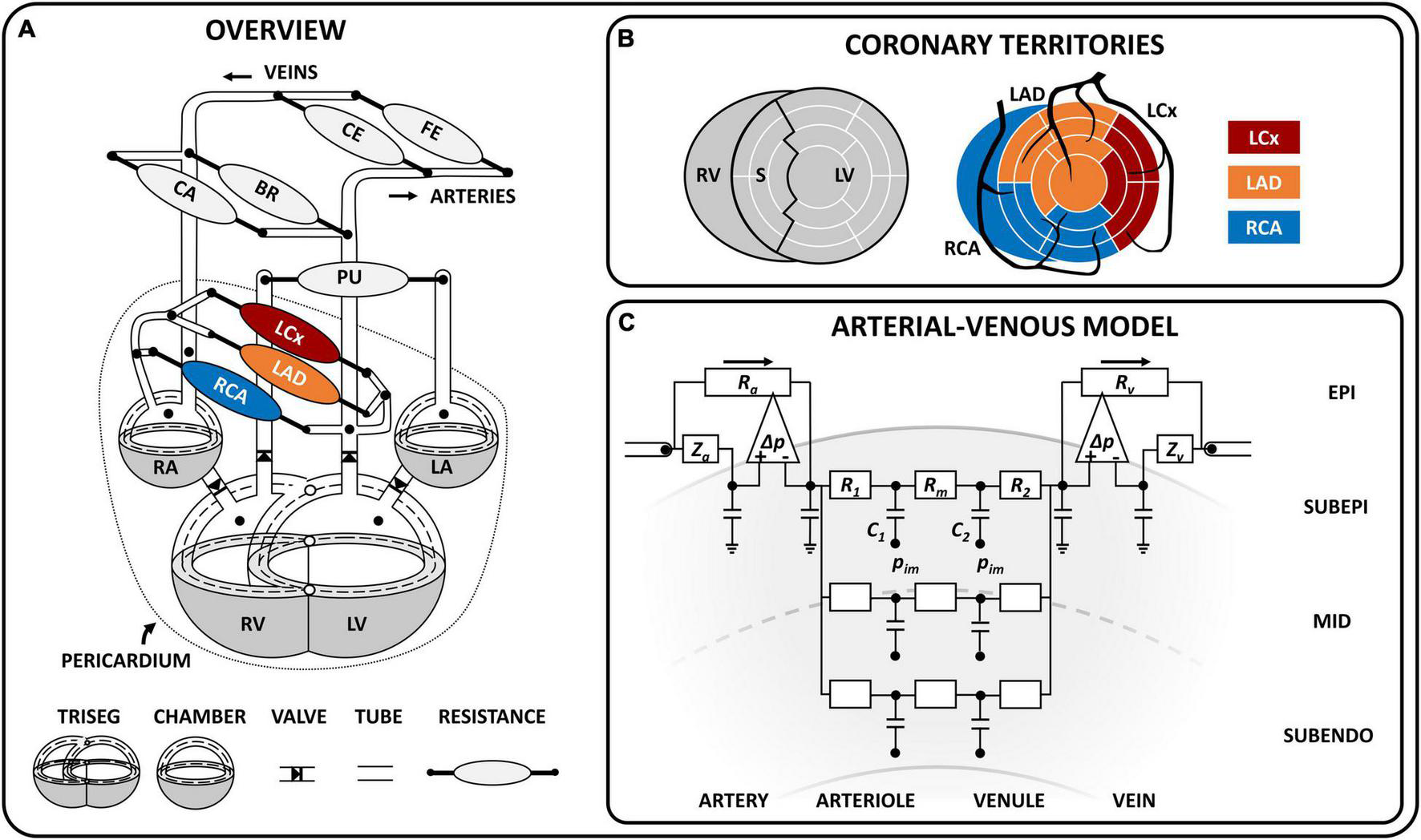 FIGURE 1