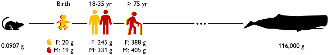 www.frontiersin.org