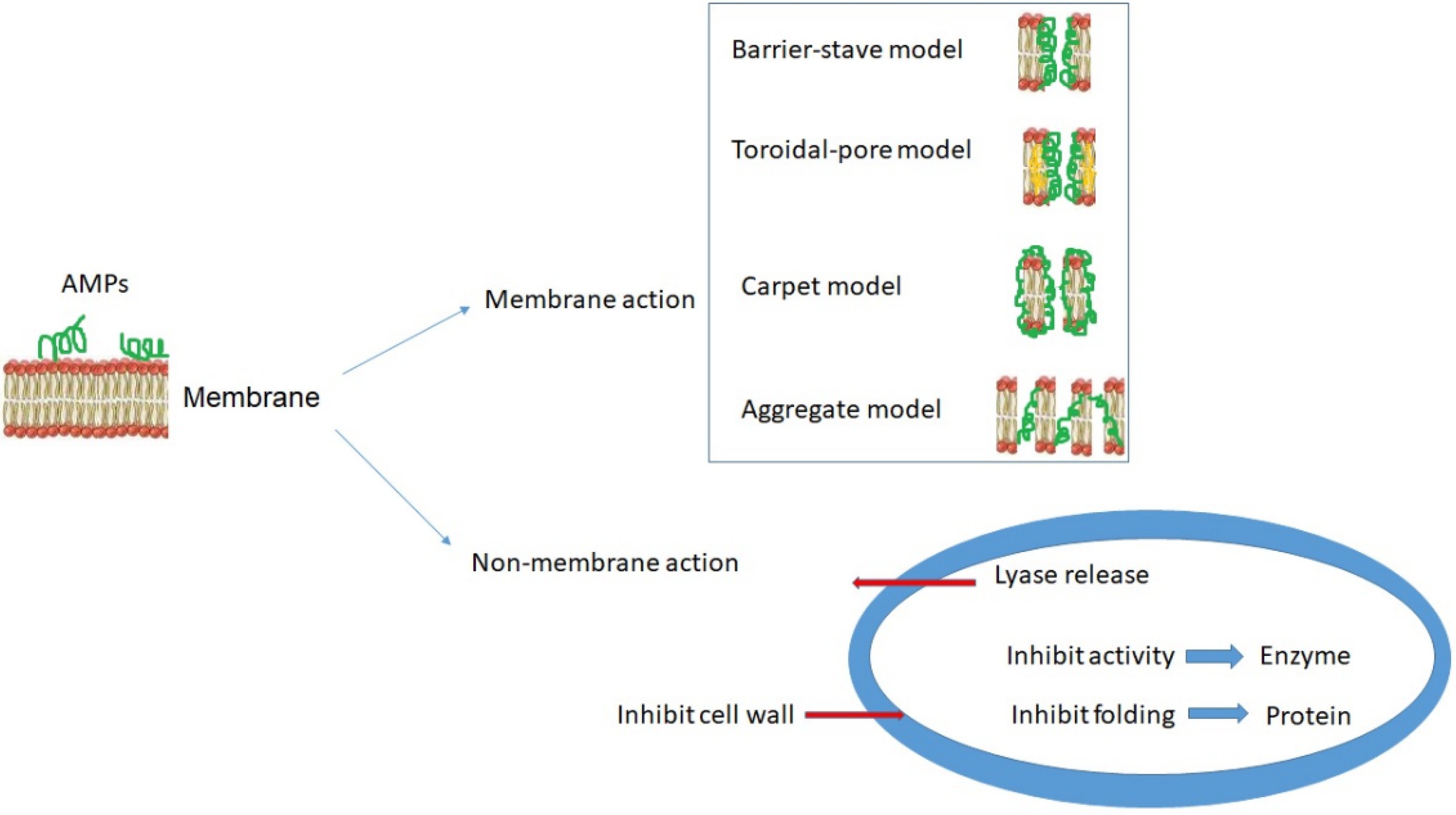 Synthetic peptides that form nanostructured micelles have potent antibiotic  and antibiofilm activity against polymicrobial infections