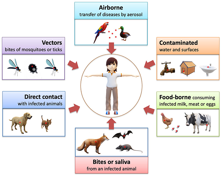 Zoonoses—diseases Naturally Transmitted From Animals To Humans