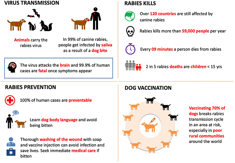 Zoonoses—Diseases Naturally Transmitted From Animals to Humans