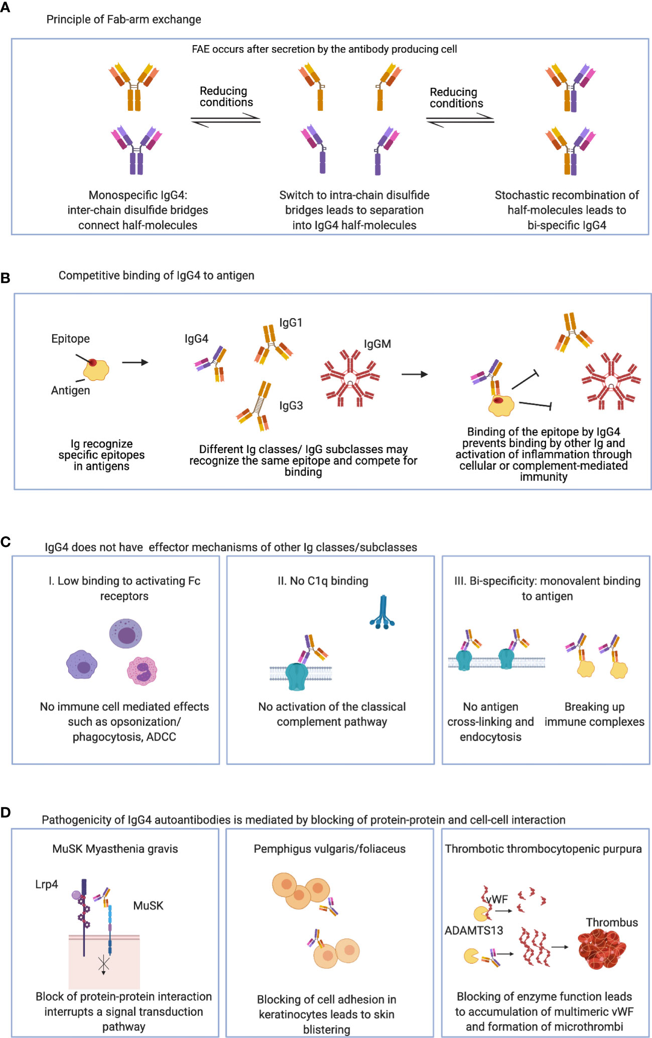 Impact of anti-CD20 monoclonal antibodies on serologic response to