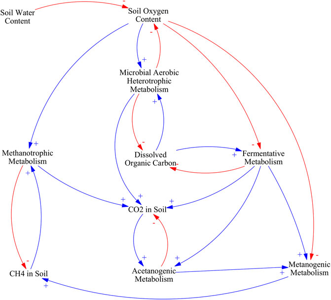 Frontiers  Meteorological Controls on Water Table Dynamics in Fen  Peatlands Depend on Management Regimes