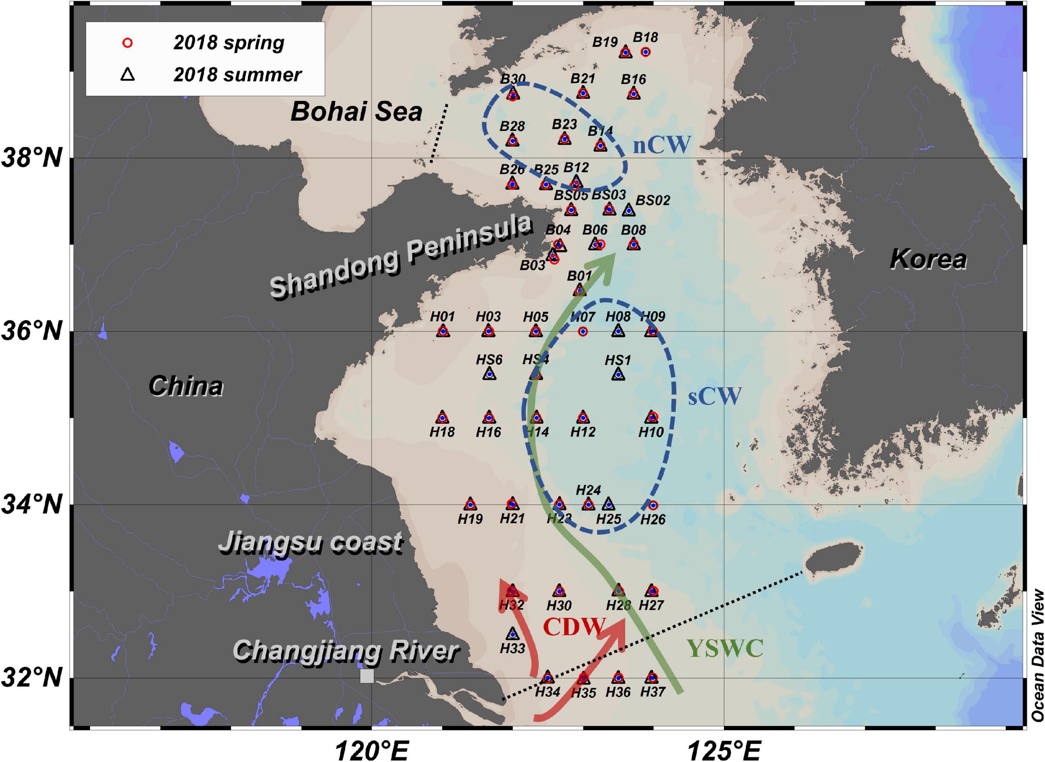 Full article: Different Generating Mechanisms for the Summer Surface Cold  Patches in the Yellow Sea