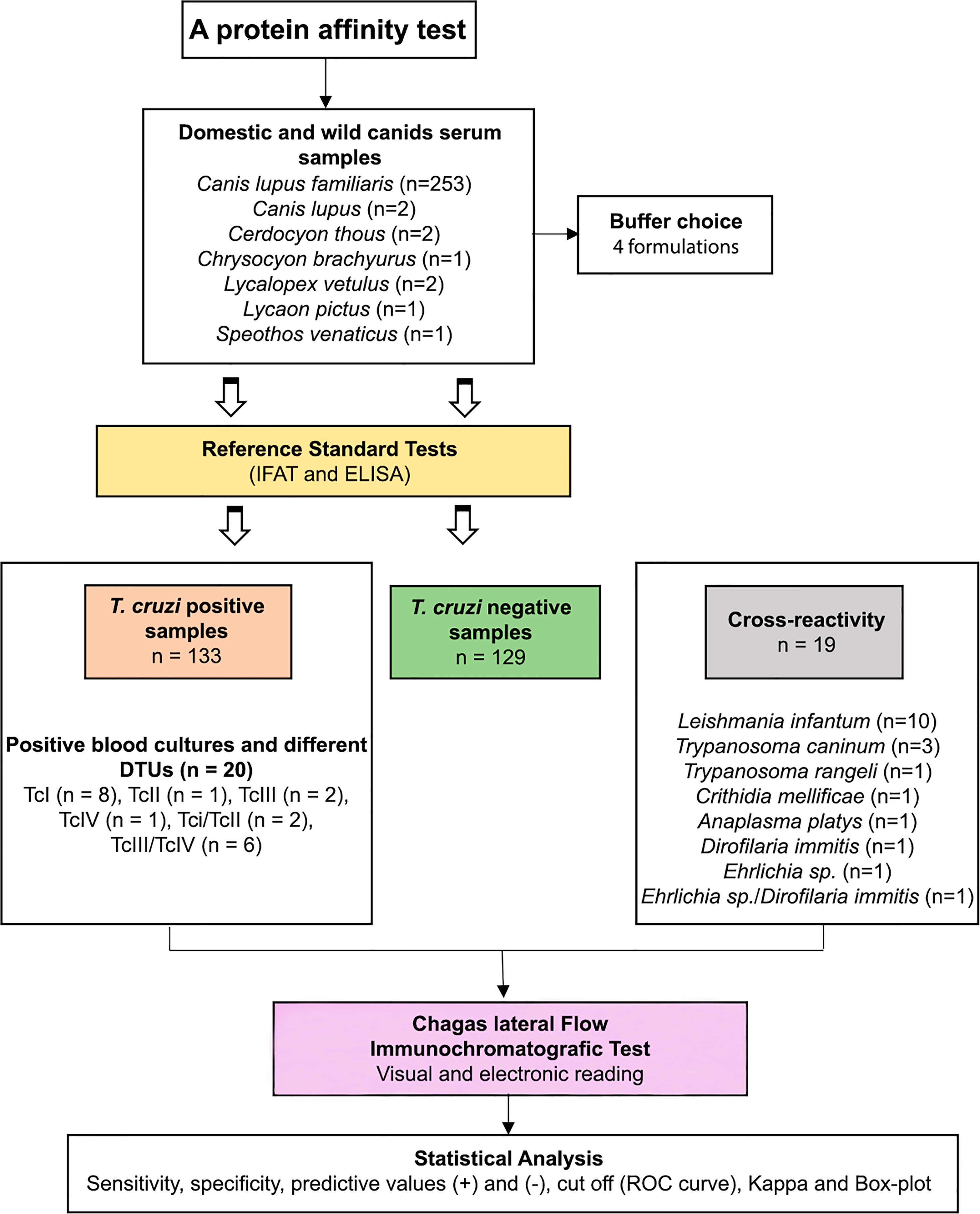 Frontiers  Trypanosoma cruzi Genomic Variability: Array