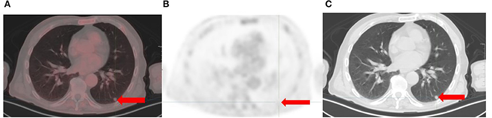 www.frontiersin.org