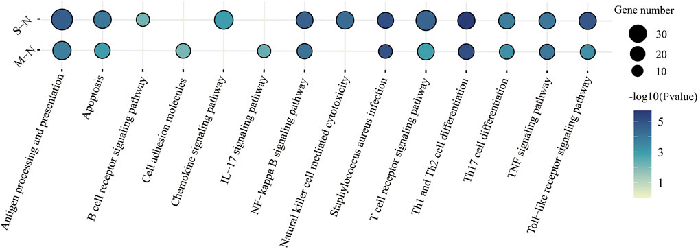 Os primeiros passos para se tornar um Product Owner Data Driven, by Rafael  Belber