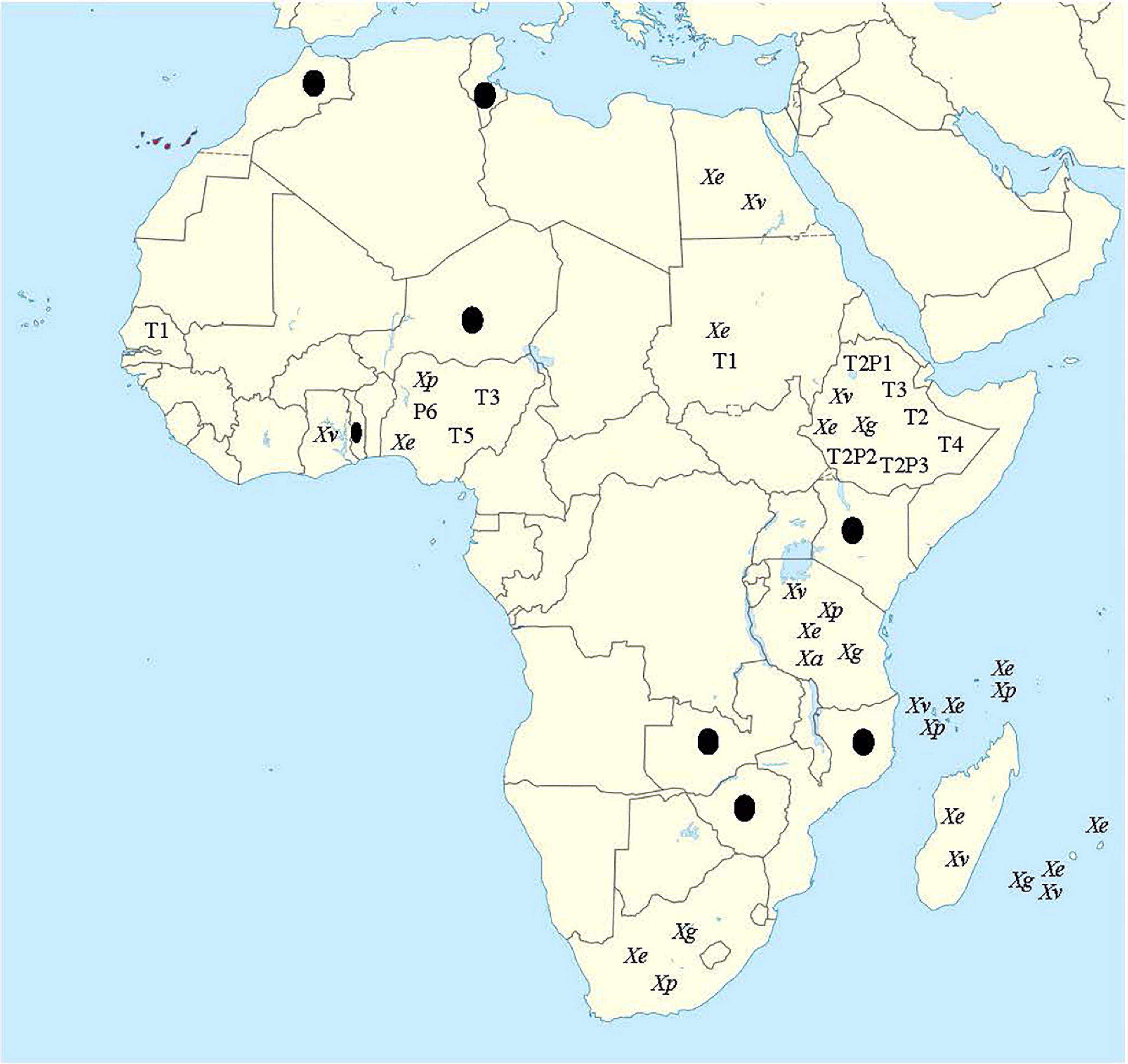 www.frontiersin.org